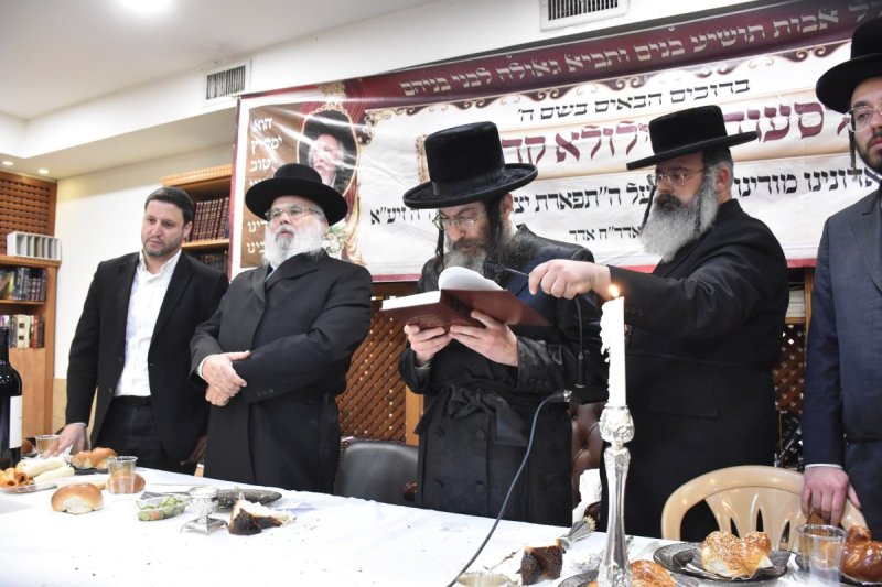 יהודה פרקוביץ