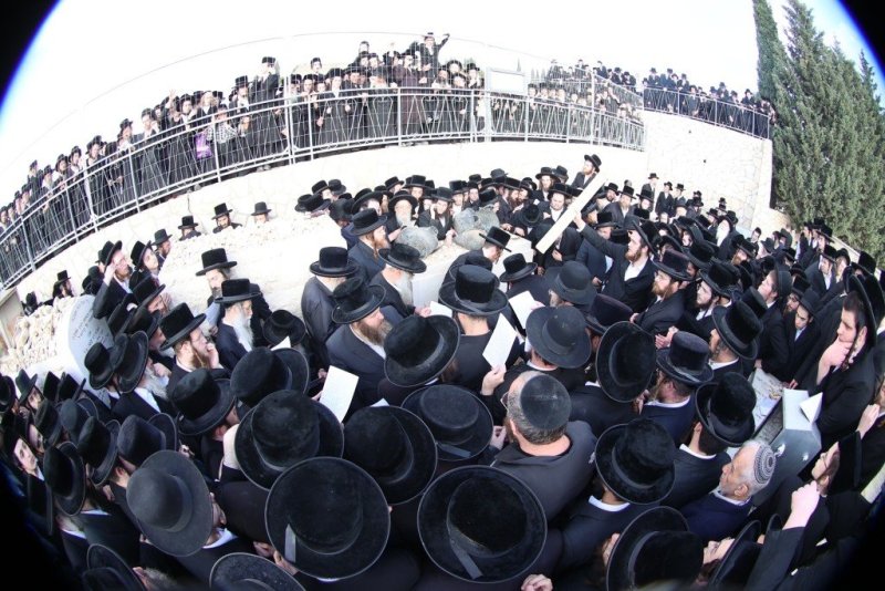 שלומי טריכטר