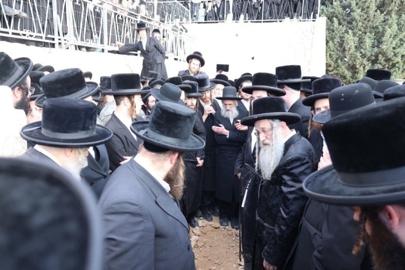 שלומי טריכטר