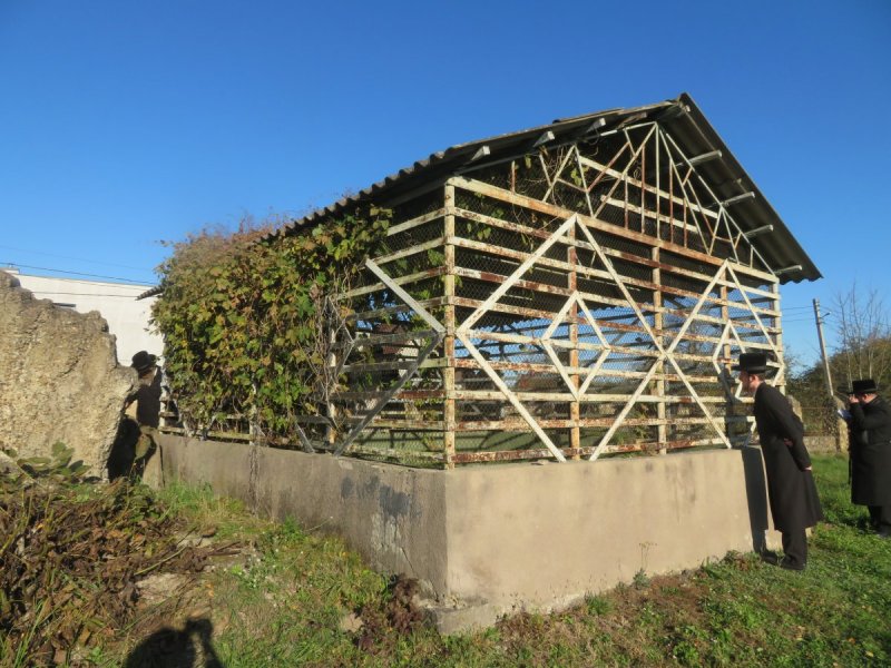 באדיבות המצלם