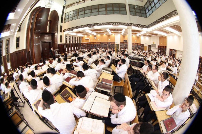 שלומי טריכטר