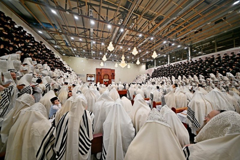 יהושע פרוכטר