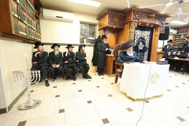 שלומי טריכטר