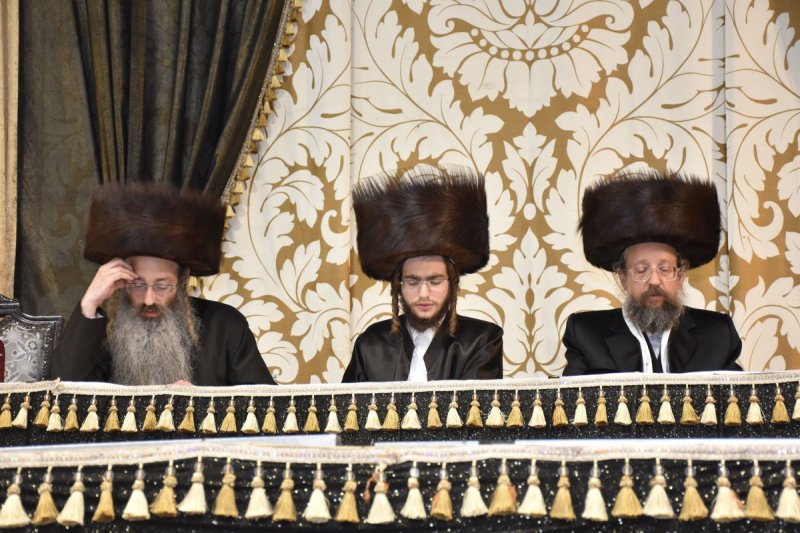 יהודה פרקוביץ