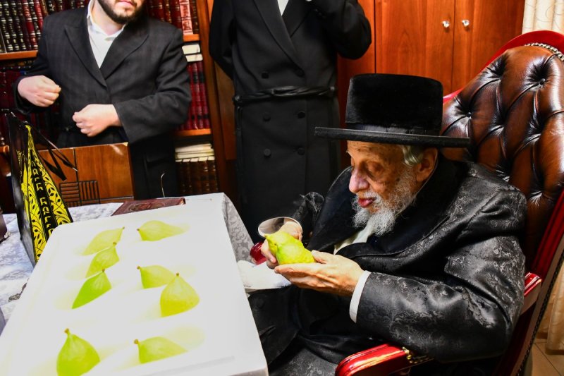 שוקי לרר