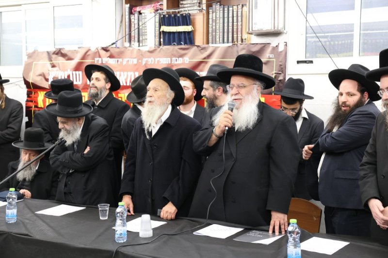 קובי הר צבי