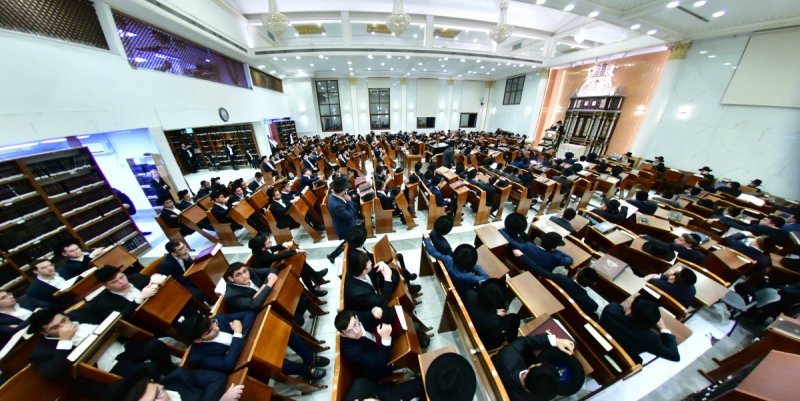 שוקי לרר