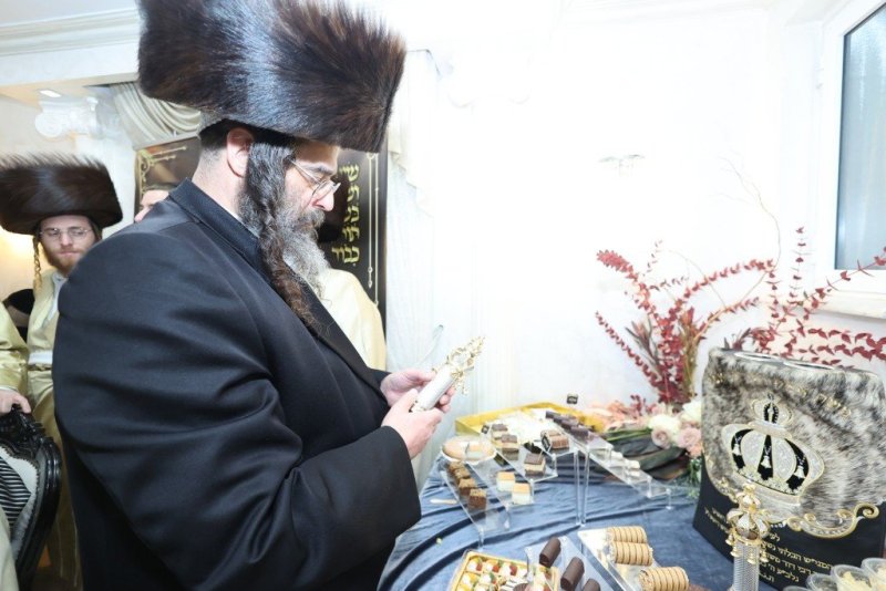 שלומי טריכטר