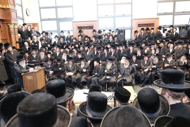 שלומי טריכטר