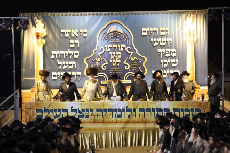 דוד כהן
