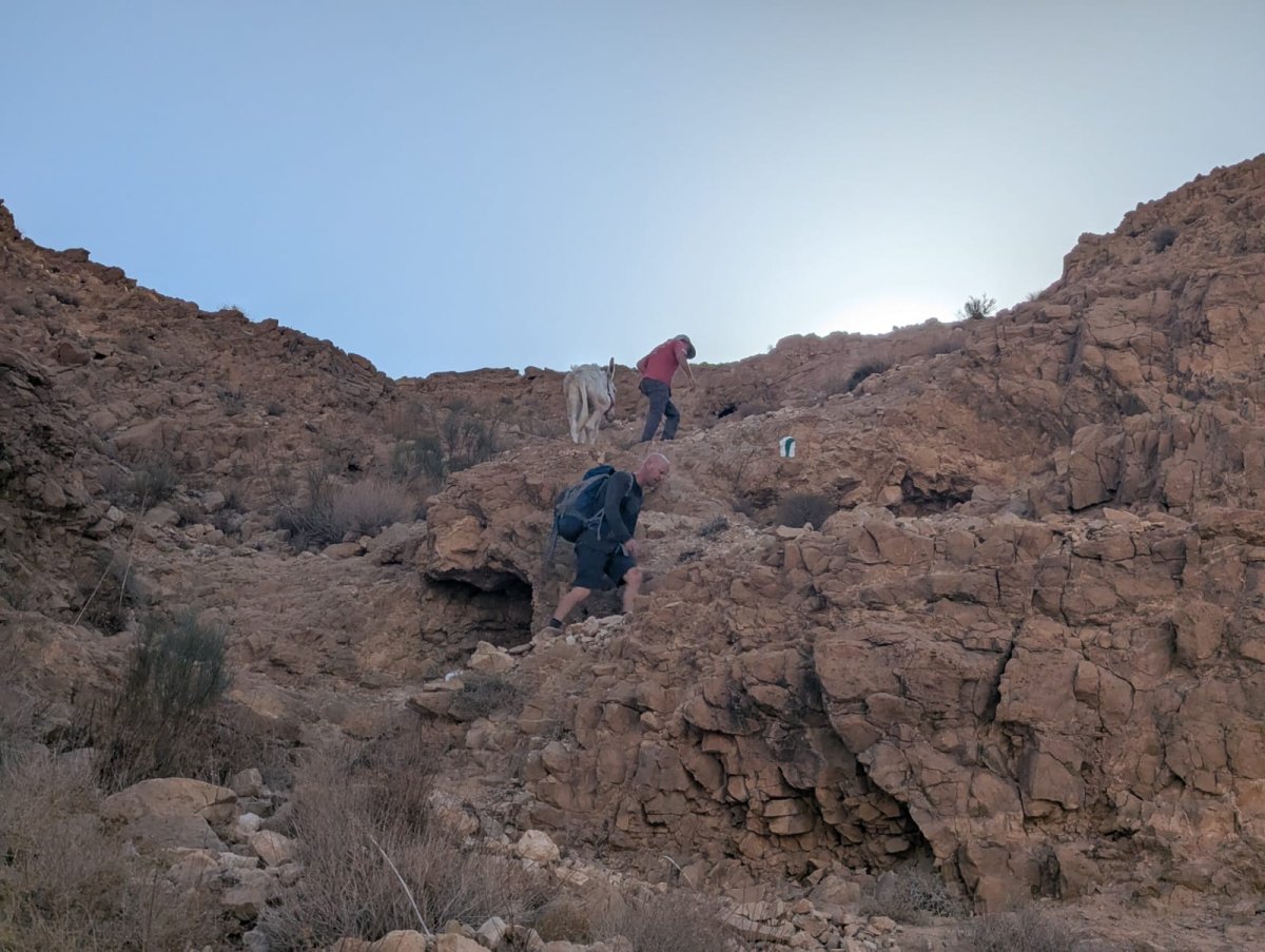 עומר לוי, יחידת חילוץ ערד