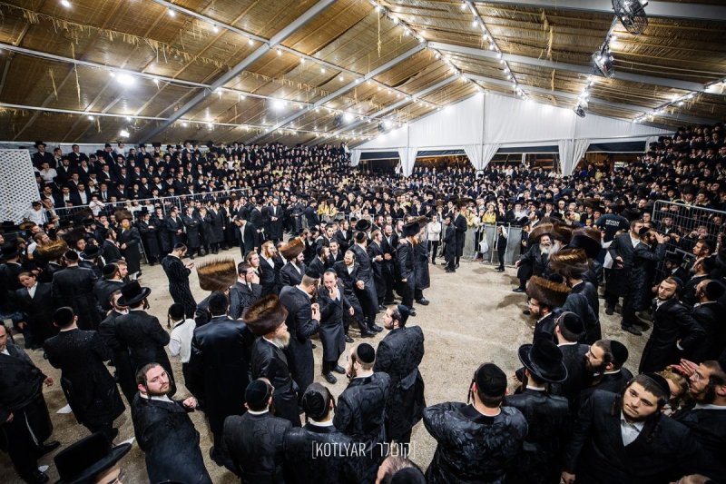 מענדי קוטלר