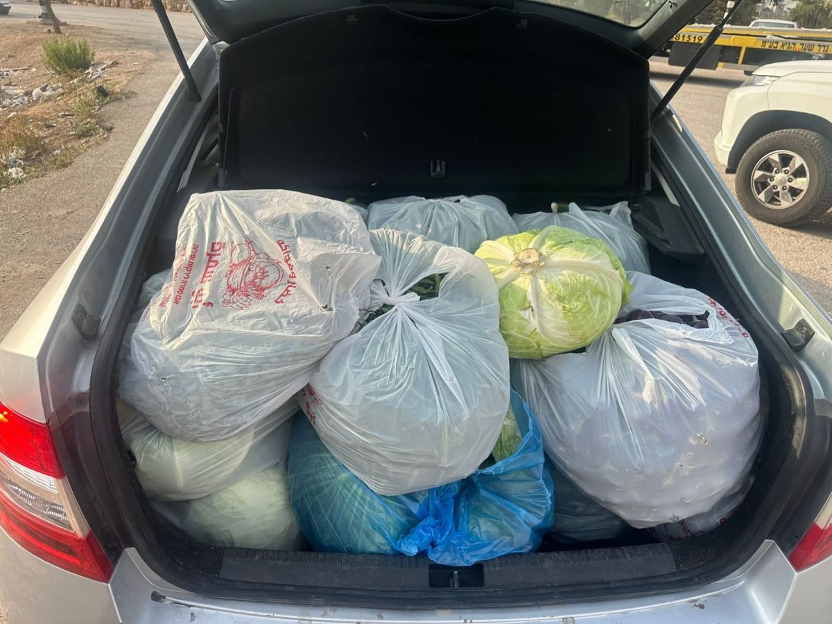 משרד החקלאות וביטחון המזון