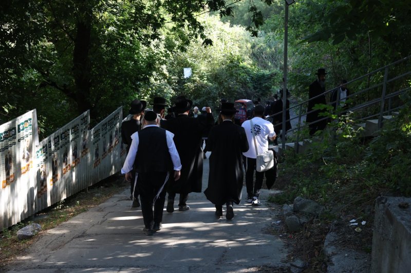 יהודה וויס