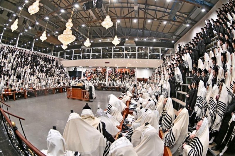 יהושע פרוכטר