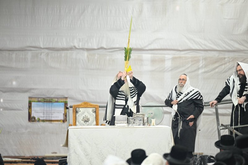 משה גולדשטיין