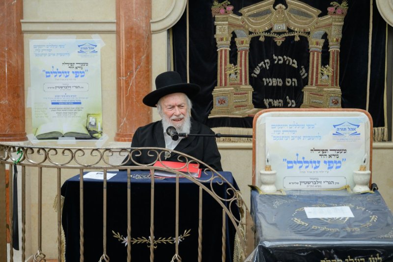 מנדי רוט