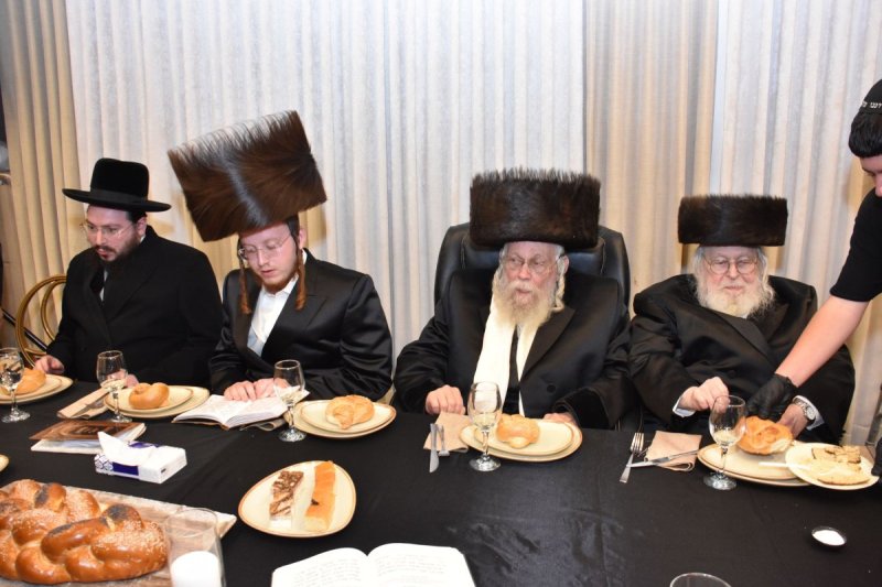 יהודה פרקוביץ