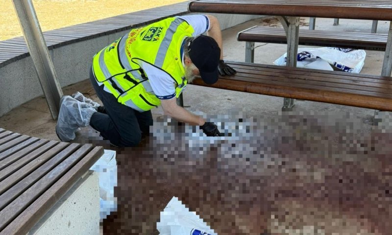 "אנחנו ברווזים במטווח": בעקבות הטבח - משפחות יהודיות שוקלות לעזוב את אוסטרליה