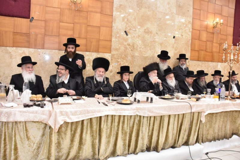יהודה פרקוביץ