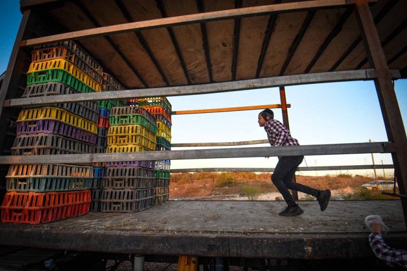 ארי קופרשטוק