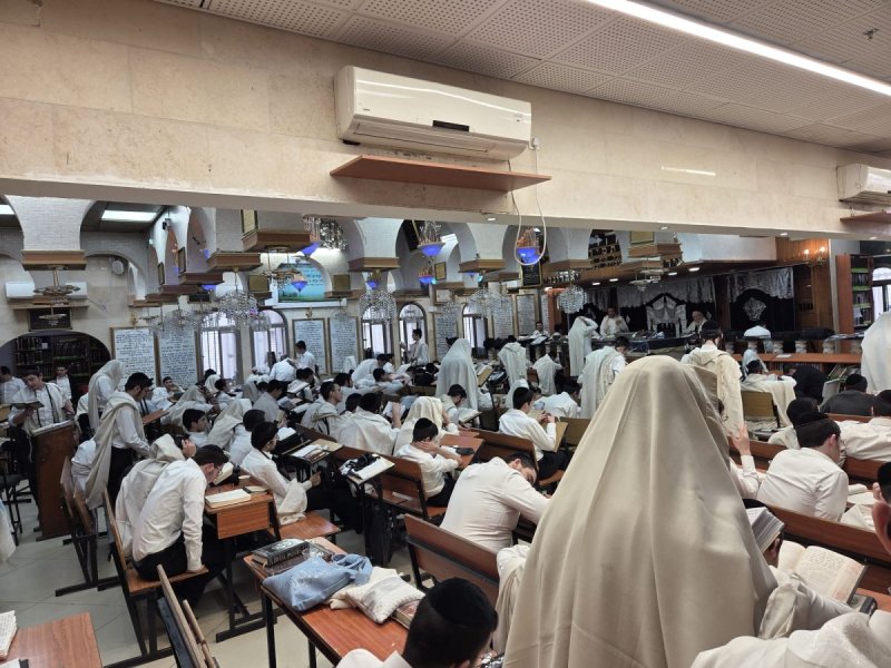 באדיבות המצלם