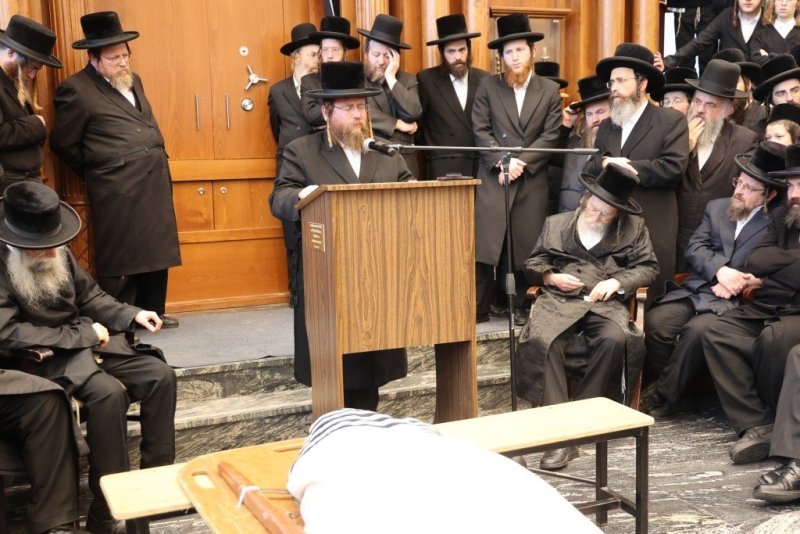 שלומי טריכטר