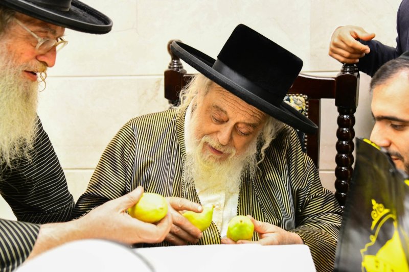 שוקי לרר