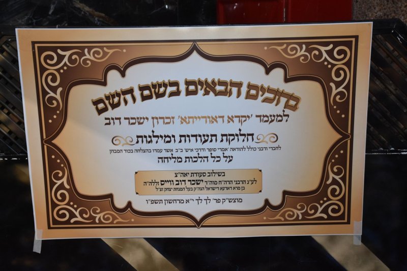 יהודה פרקוביץ