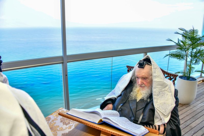 שוקי לרר