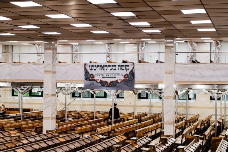 י. שטיין