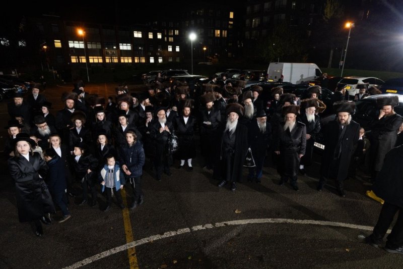 יענקי ורטהיימר