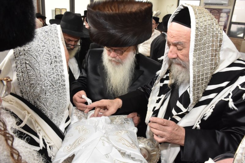 יהודה פרקוביץ