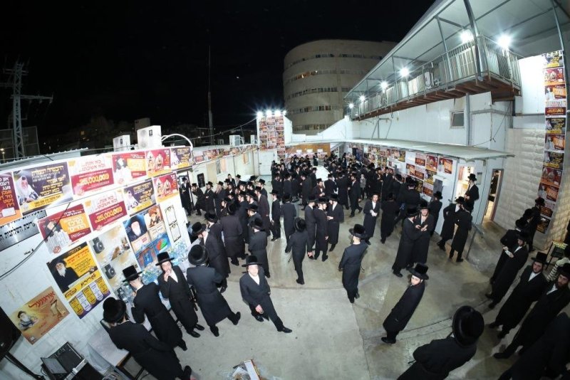 יהושע פרוכטר