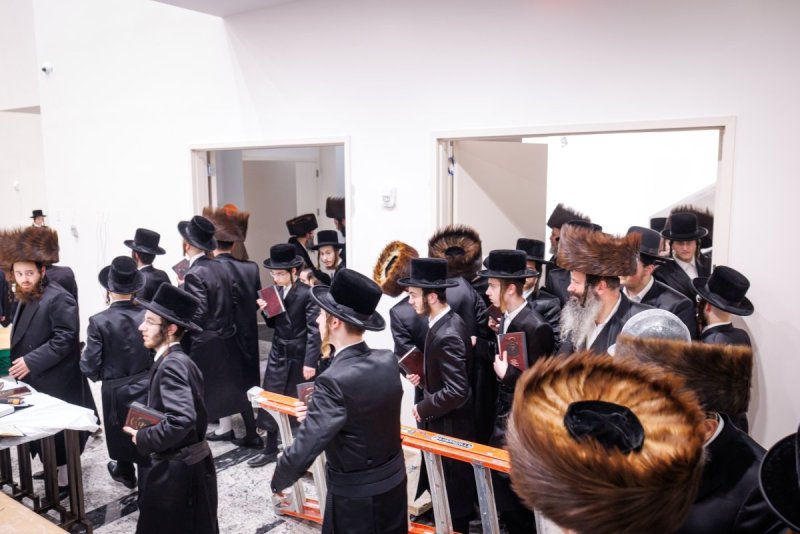 האחים לאנטשעווסקי ואושי וויינגארטן