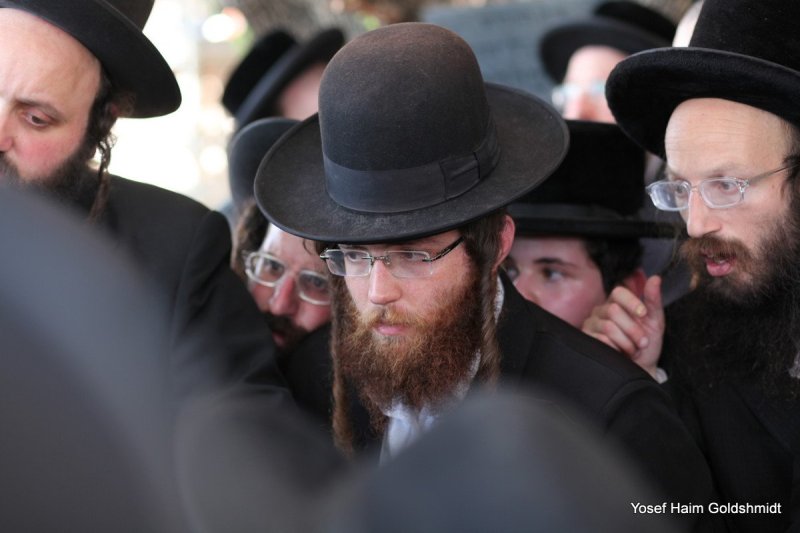 יוסף חיים גולדשמידט