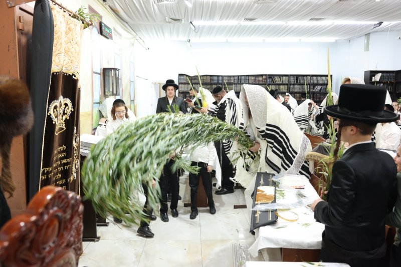 באדיבות המצלם