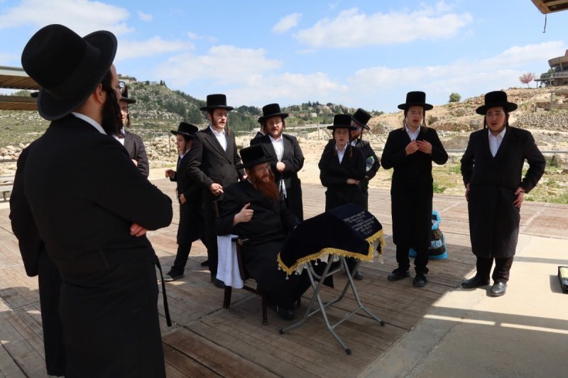 אלקנה קליין