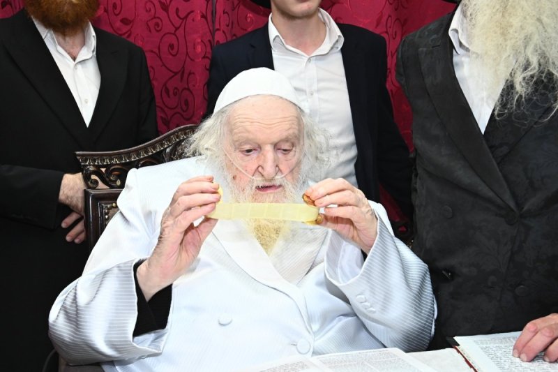 שוקי לרר ושמואל דריי