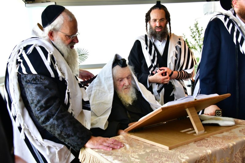 שוקי לרר