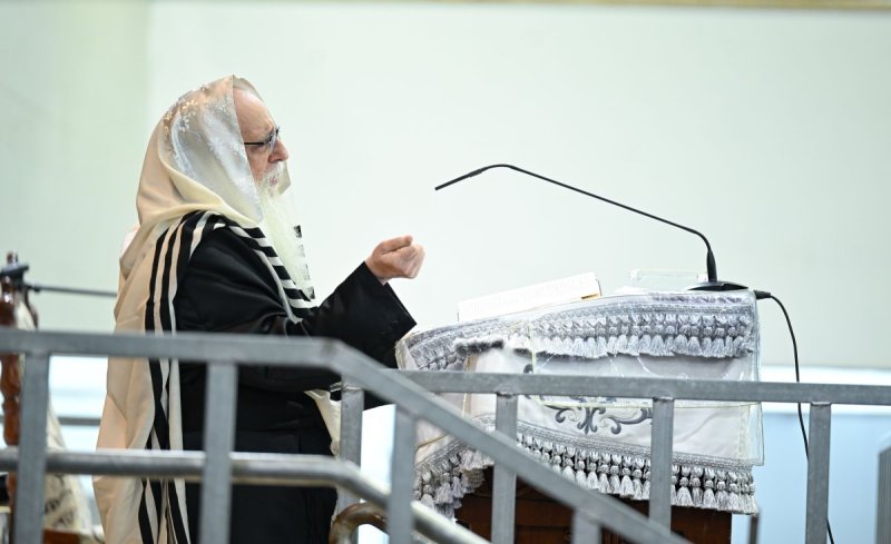 משה גולדשטיין