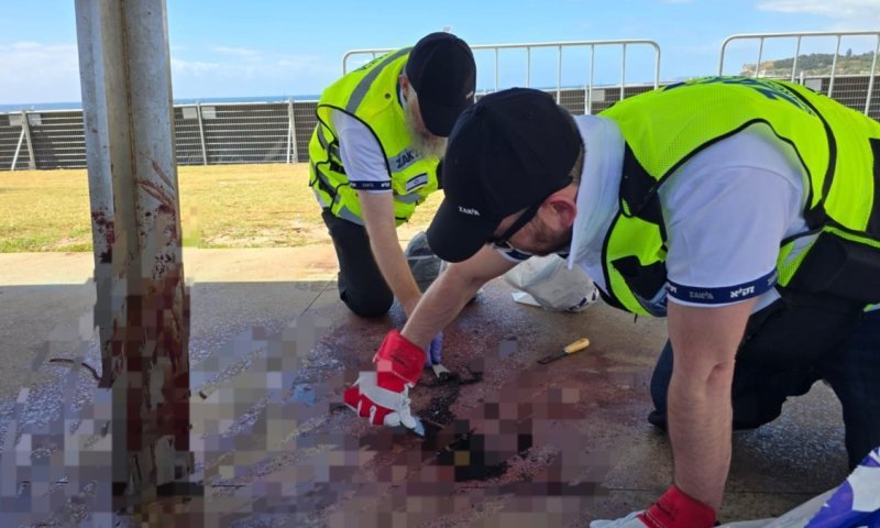 "אור על פני חושך": אוסטרליה תתייחד מחר עם זכר 15 הנרצחים בטבח בבונדיי