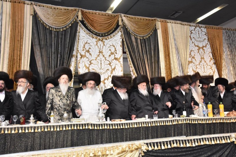 יהודה פרקוביץ