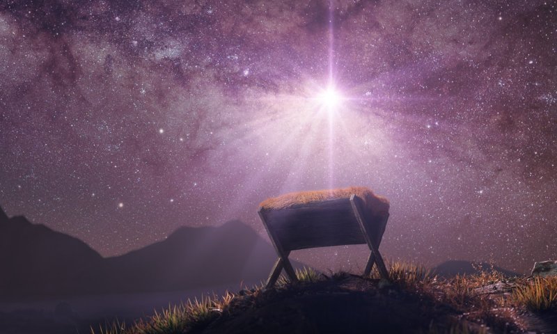 "אנחנו נולדים עם חוחו": למה אנחנו תמיד חוזרים לנקודת ההתחלה?