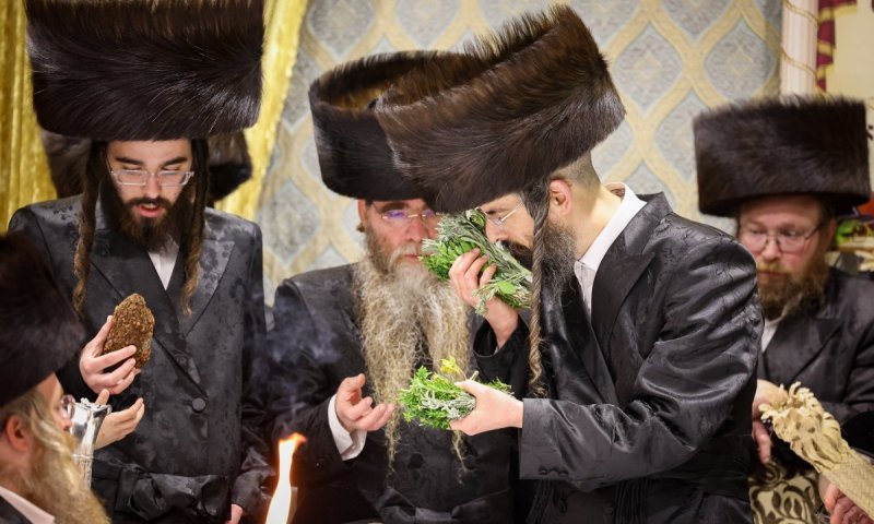 כך חגגו בזוועהיל את השבת אופרוף לבנו של האדמו"ר