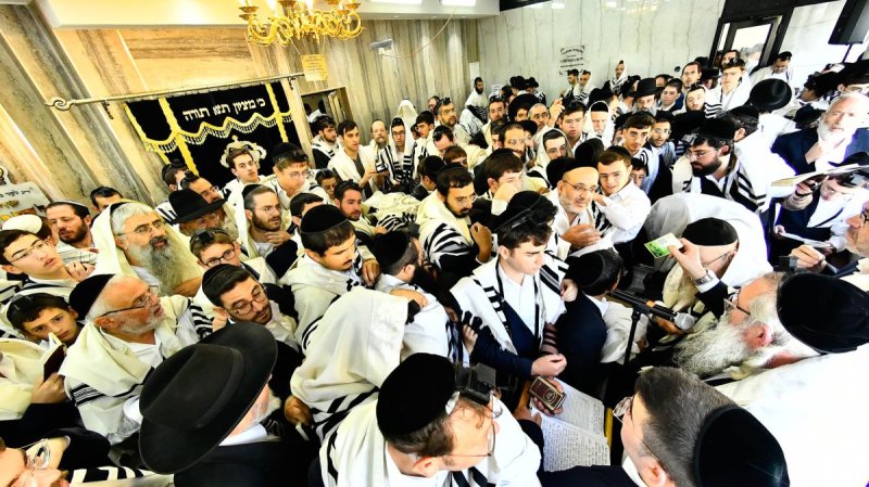 שוקי לרר