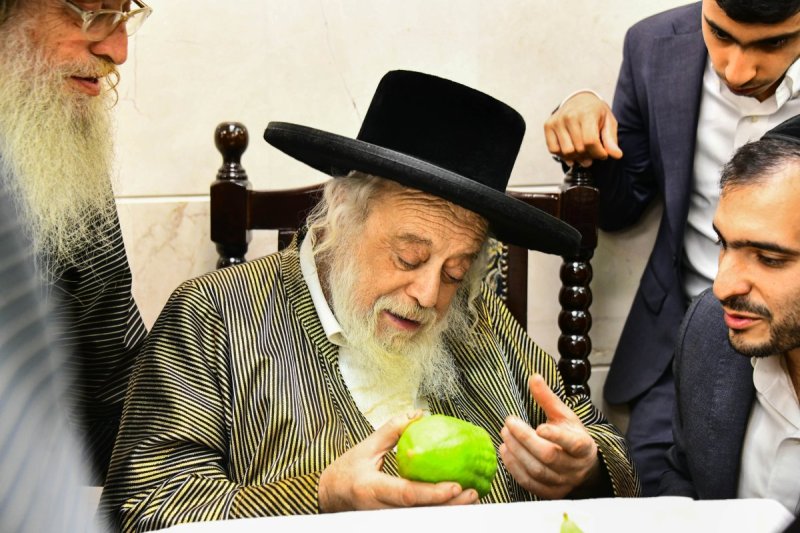 שוקי לרר