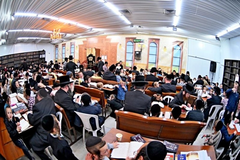 יהושע פרוכטר
