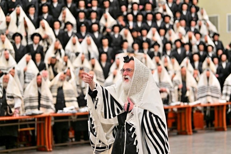 יהושע פרוכטר