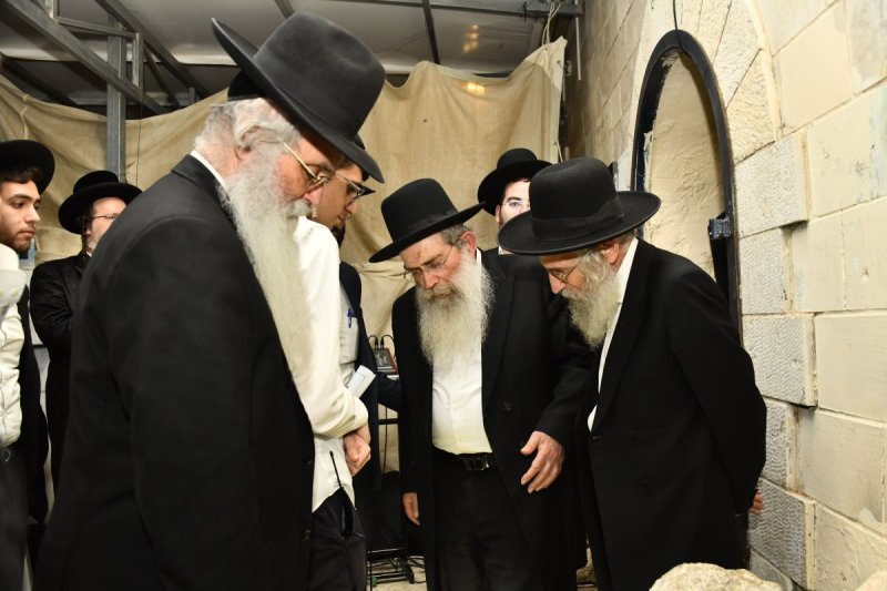 רינה של תורה